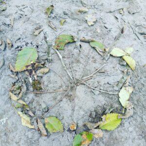 leaf and twigs on sand