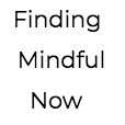 Finding Mindful Now