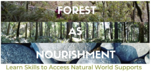 Forest as Nourishment