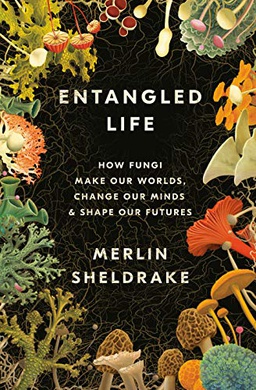 Book cover image, "Entangled Life: How Fungi Make Our Worlds, Change Our Minds & Shape Our Futures" by Merlin Sheldrake