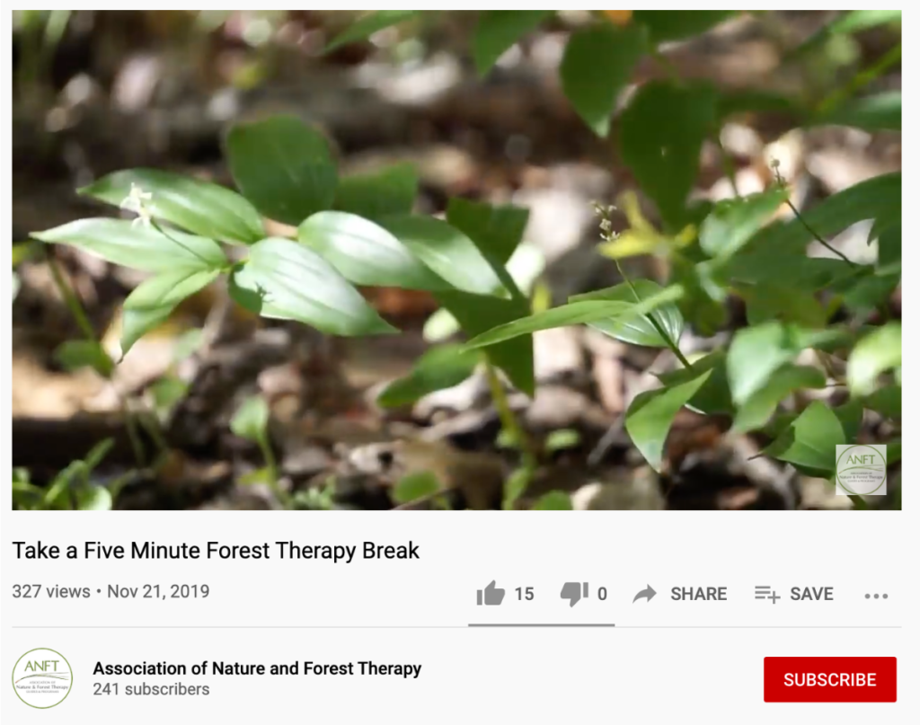 image of youtube video from Association of Nature and Forest Therapy that reads "Take a Five Minute Forest Therapy Break", picture is of plants in sun