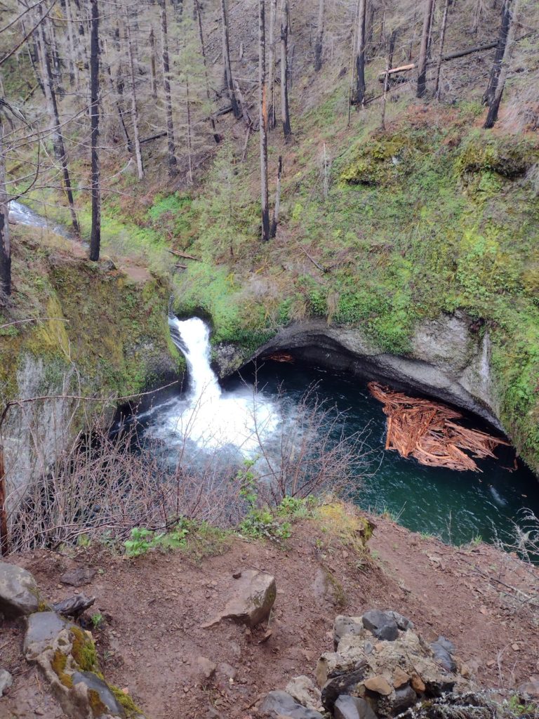 Image of waterfall and pool below in the distance. Burned tree trunks on the bank opposite.