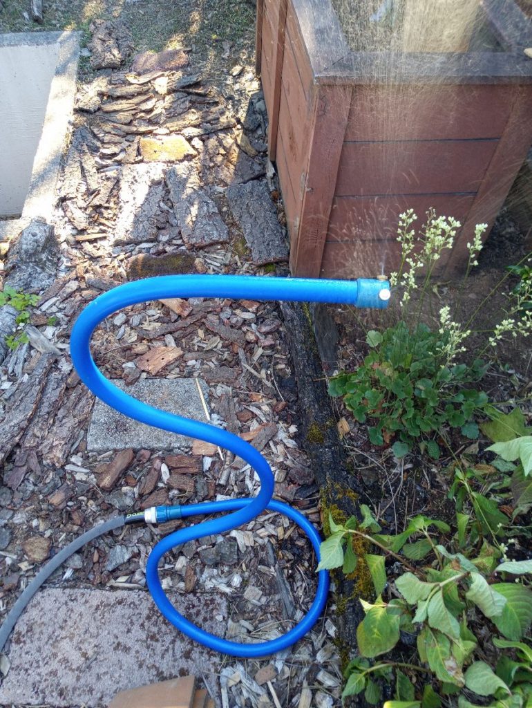 image of blue plastic curly mister rising up toward image spraying water with stepping stones and woodchips in background, wilted shrub to the right