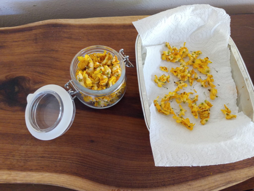 Image of yellow dried mullein flowers some in a jar, some on a paper towel in an aluminimum tray, koa wood cutting board in background.