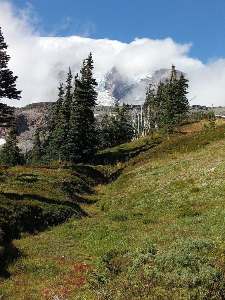 image looking up moss covered crevice of rocky mountain slope with evergreen trees on either side of the center line and glacier covered mountain partially covered by clouds at top