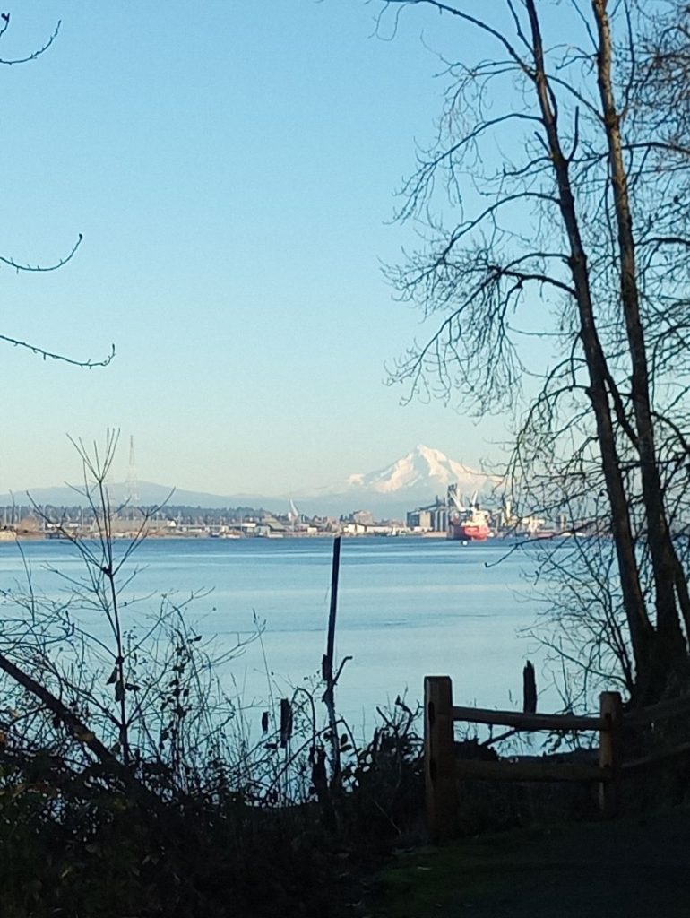 image of Mt. Hood in the distance, blue sky above, blue river below, foreground is winter trees, industrial ship in the midground