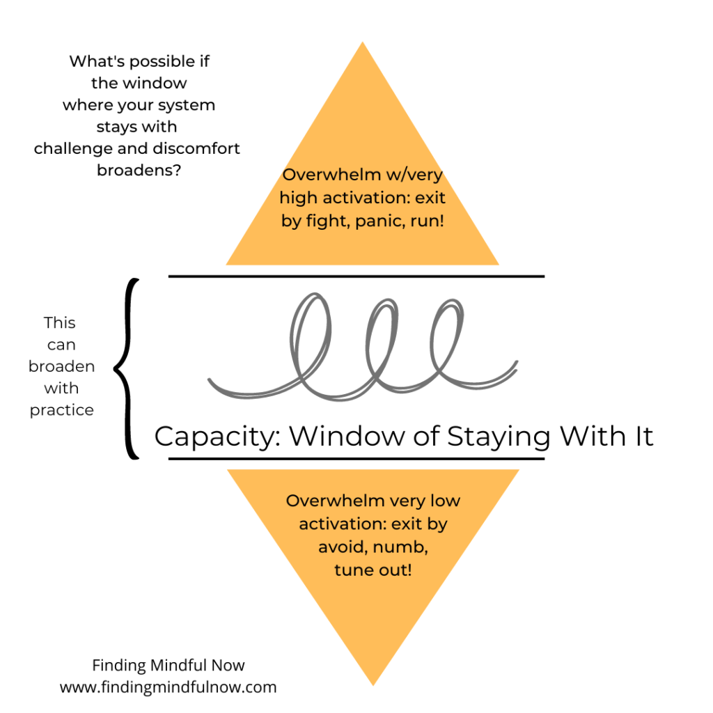 Image of the window of "staying with it", or the way I talk about the window of tolerance in the upcoming February Nourish: Body Awareness course. The image is of two horizontal lines, with a space between them and a squiggle line in the center indicating the window of staying with it. An orange triangle shape is above pointing up that says "overwhelm w/very high activation: exit by fight, panic, run!". A second orange triangle pointing down says "Overwhelm w/very low activation:exit by avoid, numb, tune out!" A side bracket to the left of the window reads "this can broaden with practice"