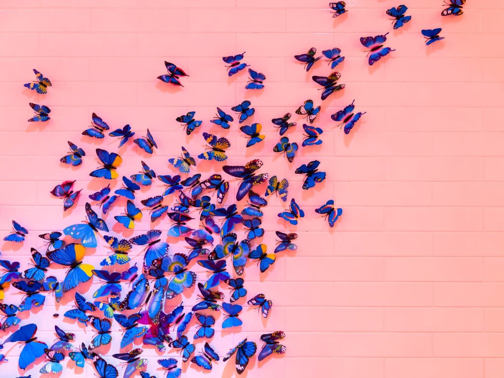 Image of blue butterflies on pink brick  by drz on unsplash