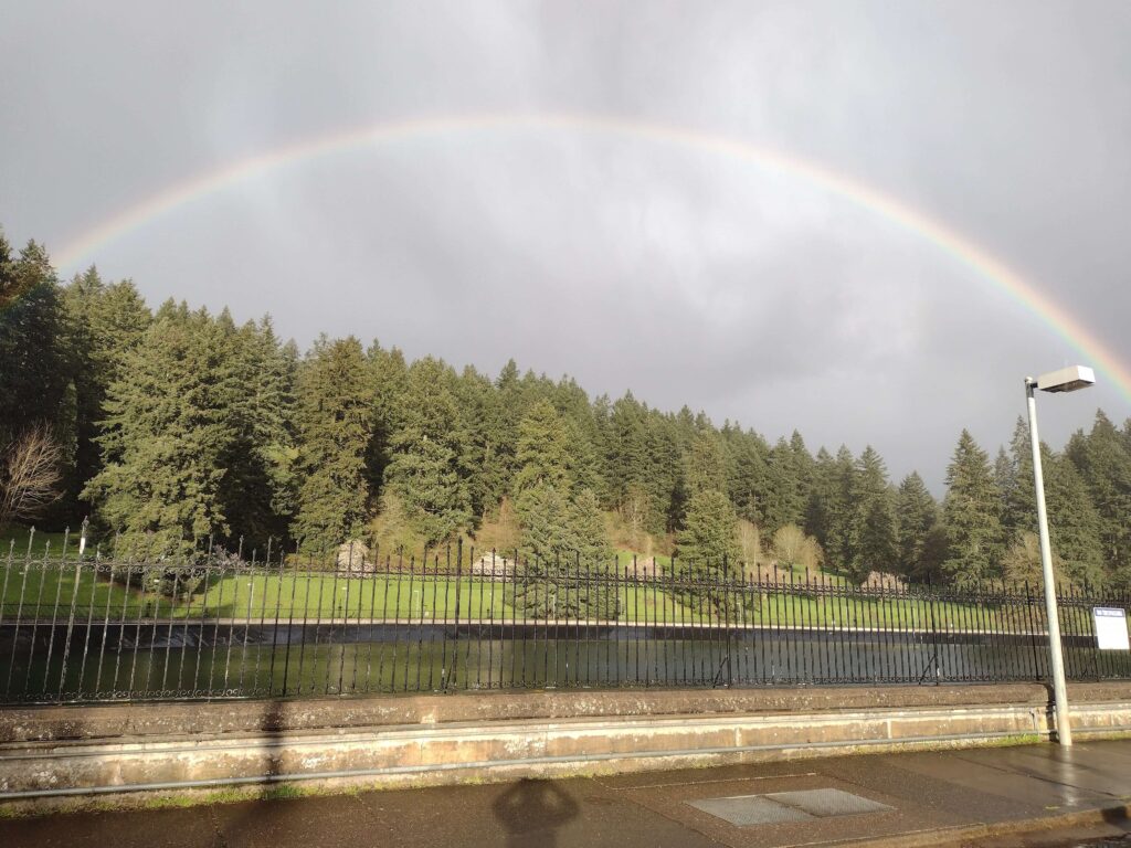 Image of rainbow in a park near my house. There were two, I just couldn't get them both in the screen.